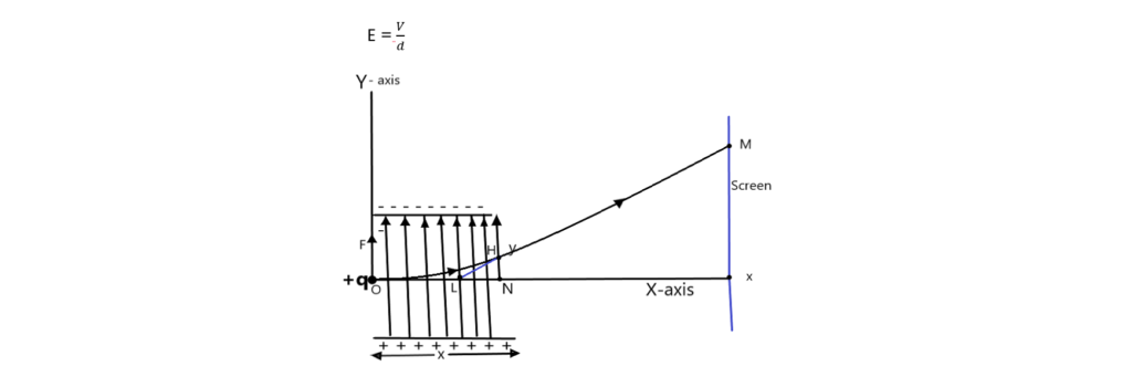 FORCE ON A CHARGE PARTICLE-12 CBSE